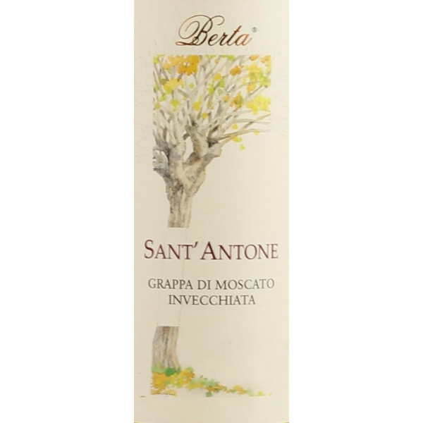 Berta Sant'Antone